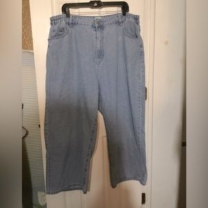 Shiny by Nature Solving the Jeans Problem Jeans - Light Wash